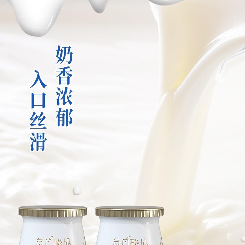 岁安