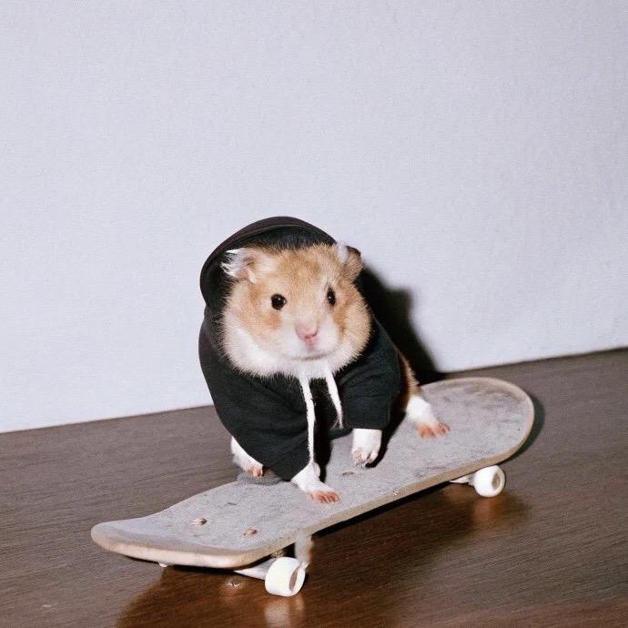 Monica🛹