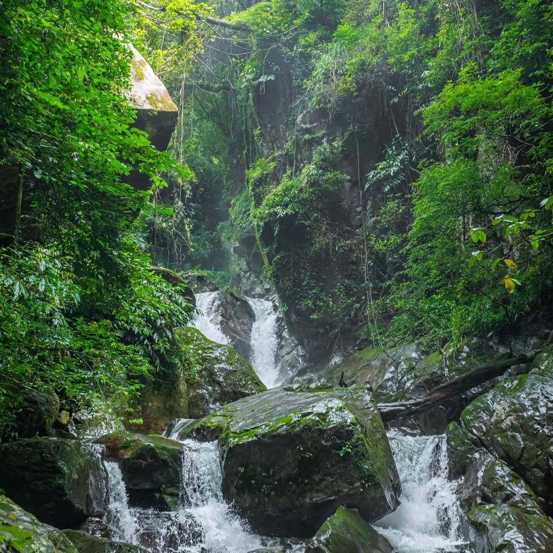 农产好物严选