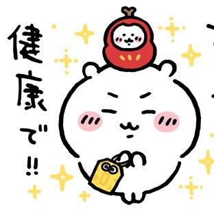 吉伊今天吃什么