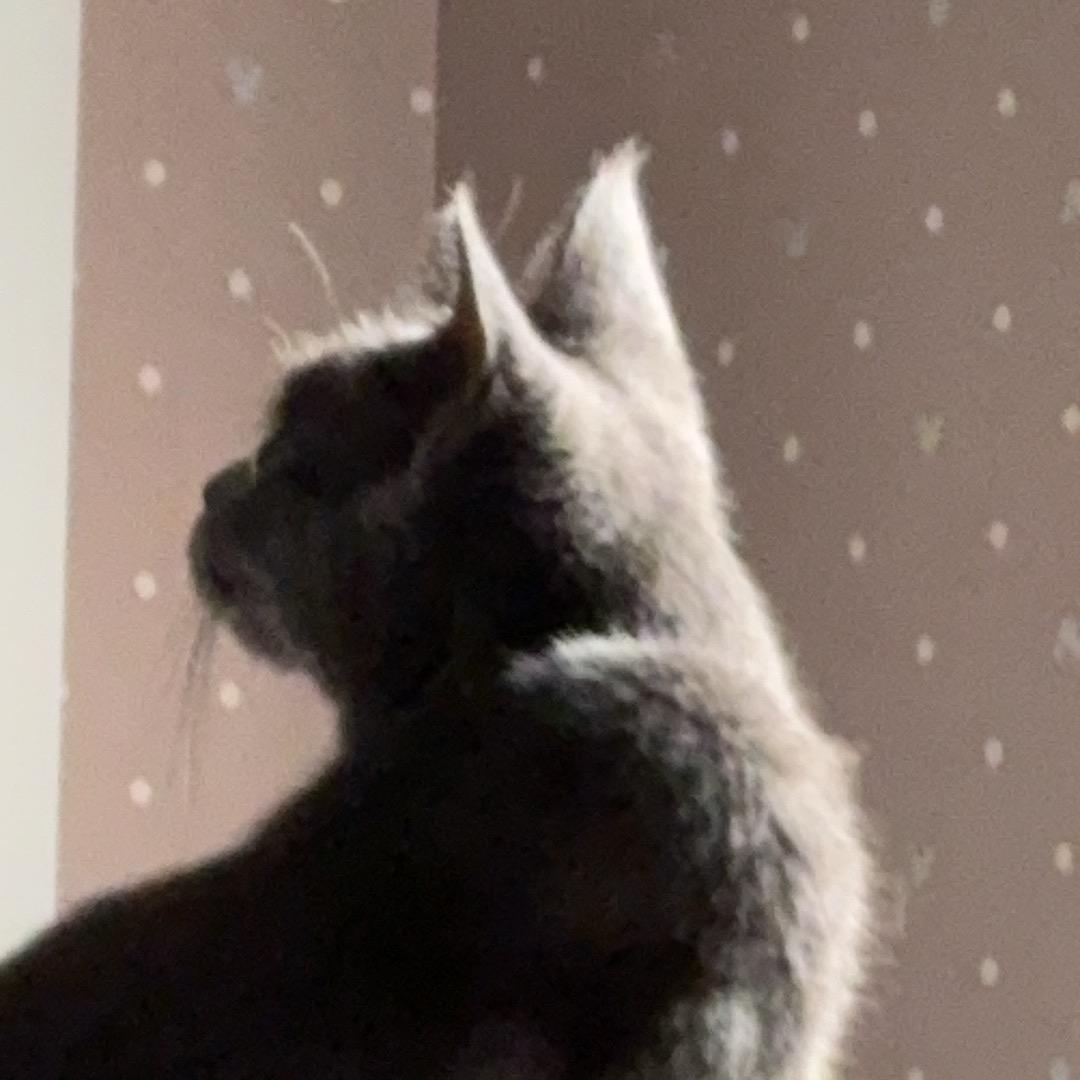 ？