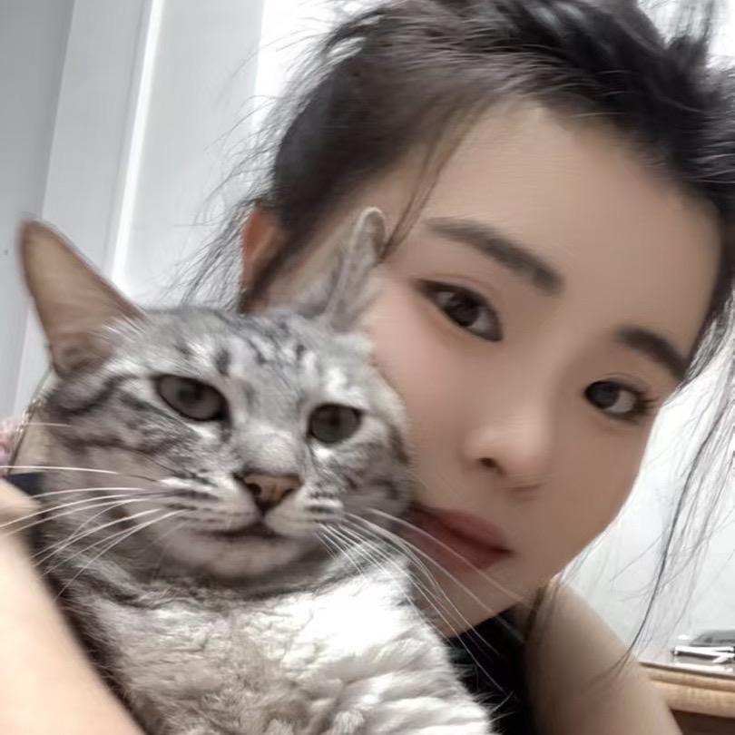 三毛日更十条版