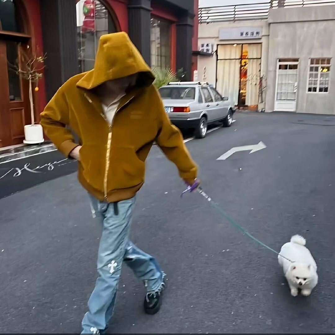 江浙沪第二宗介（伤感版小张）