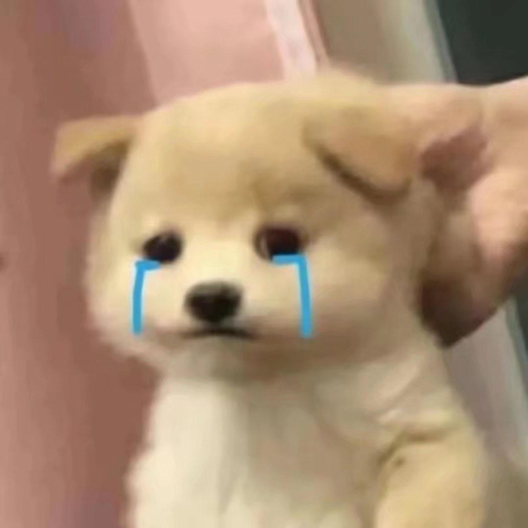 我真的想知道