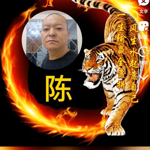 陈三排挡