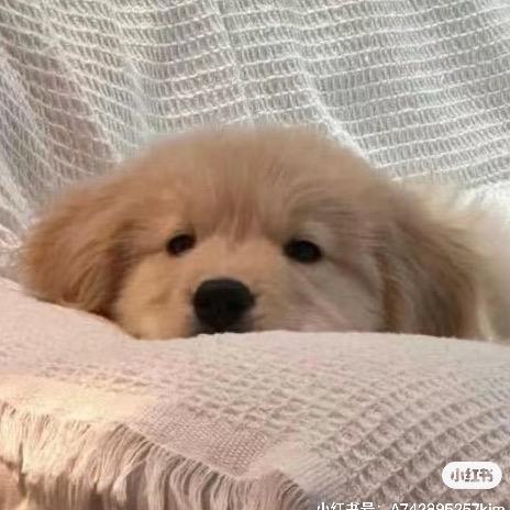 困的时候想睡觉