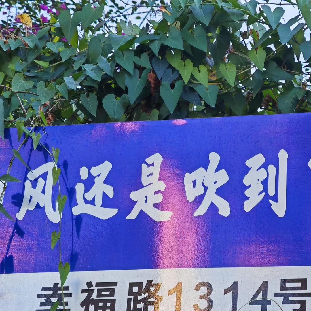 披星戴月地奔波