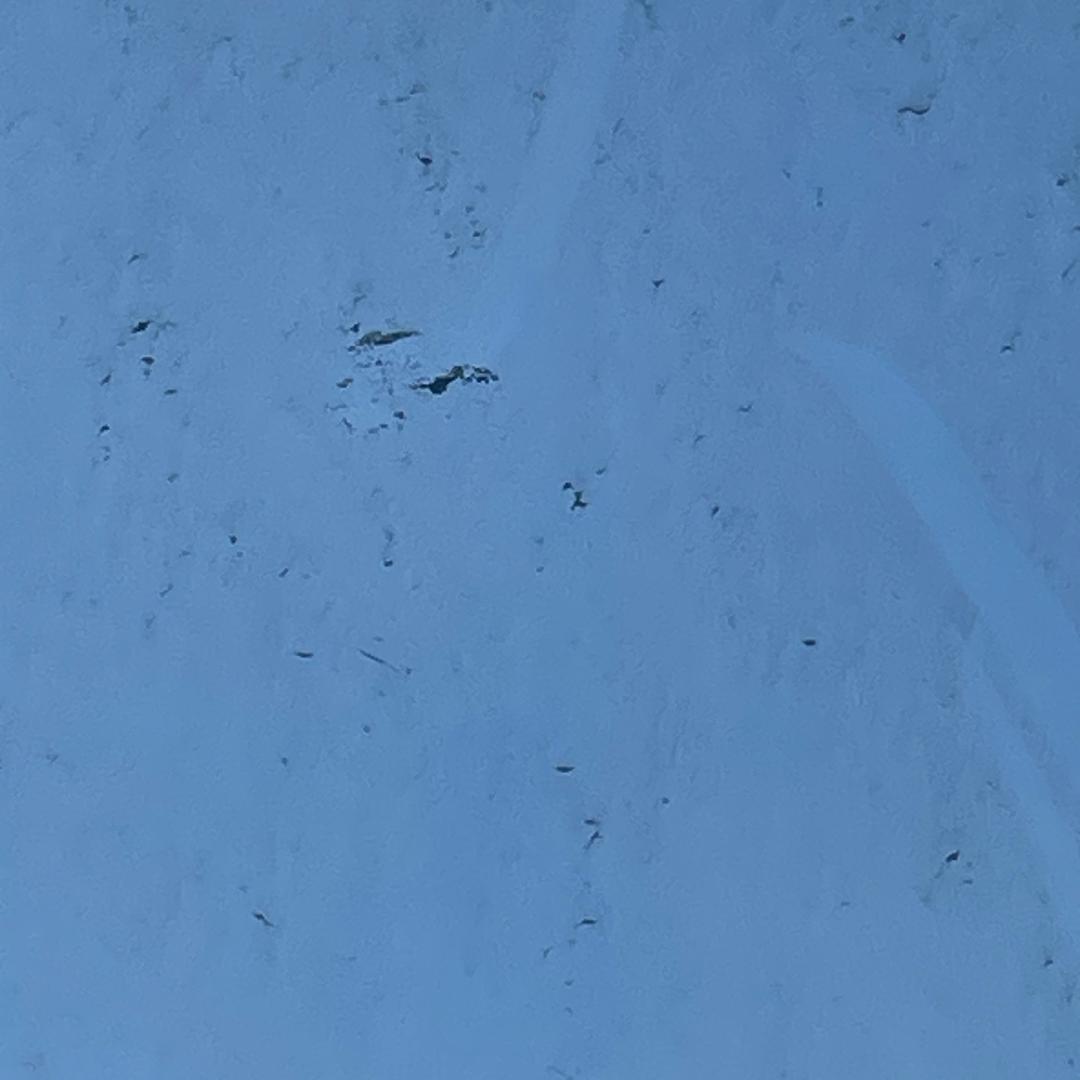 意鹭诚脚手架租售(嘉隆公寓店)朗朗的直播号