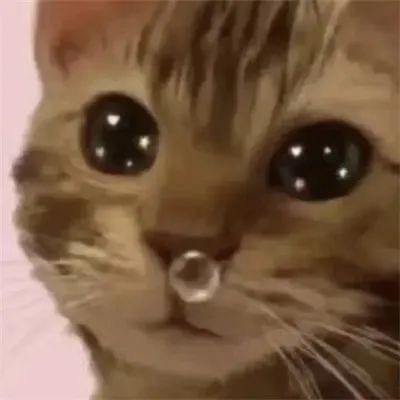 幸运星diy杂货店