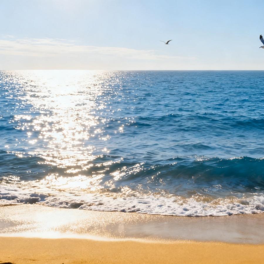 🦋ꦿ໊蓝汐᭄🕊᭄