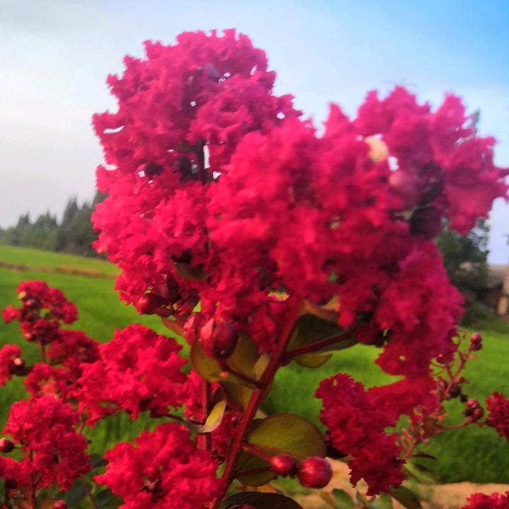 👀喵了个咪👄