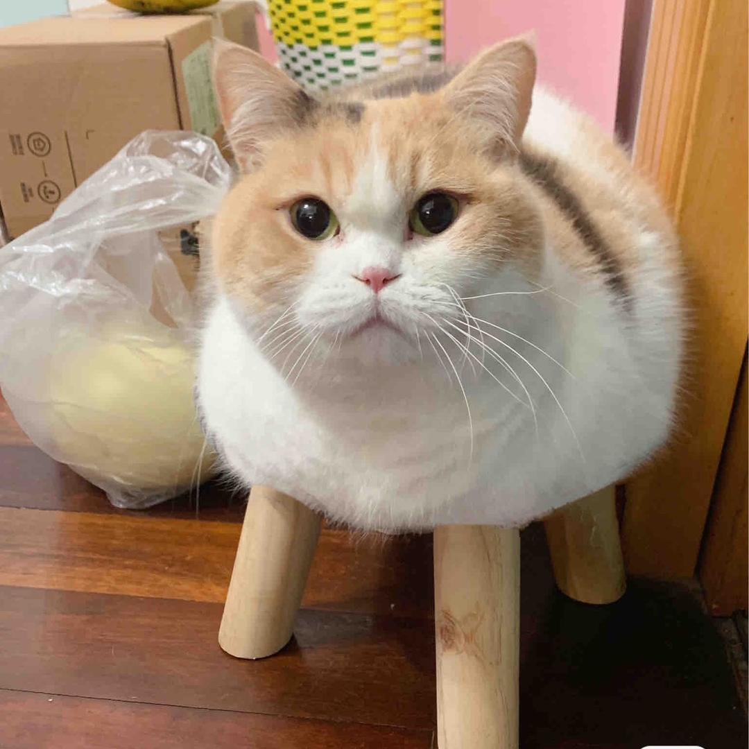 辣味小蛋挞