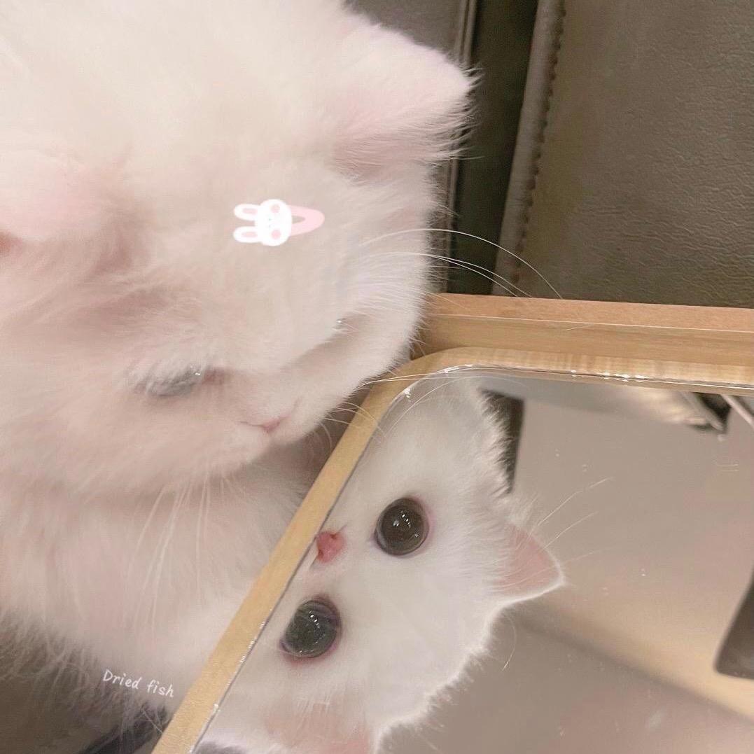 多加点🍬