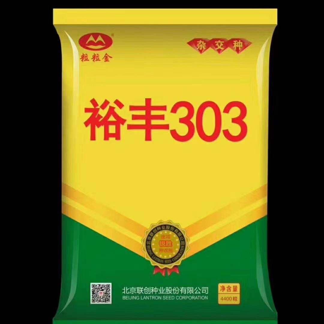 杨博文农资部