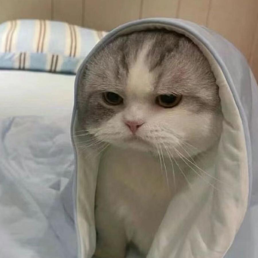 星辰梦海