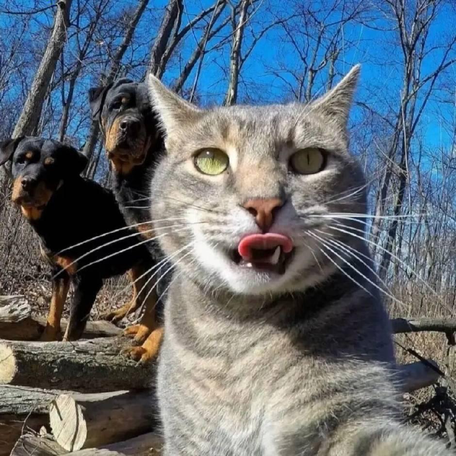 爱唱歌的安子🎤