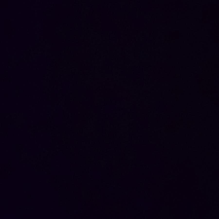 怜椿栀
