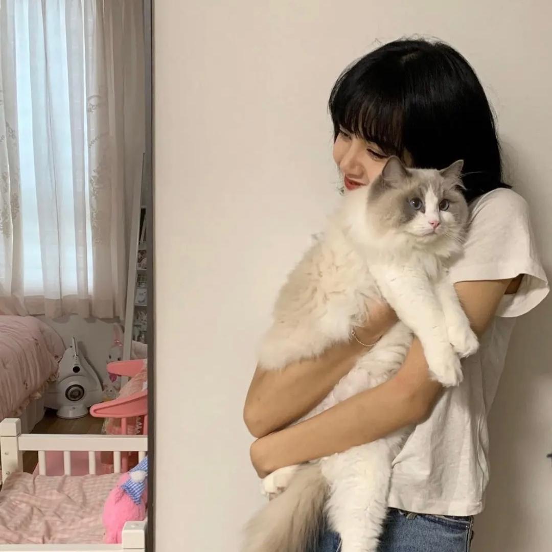 可可掉线啦…