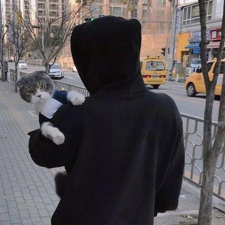 梵韵诗吟丶