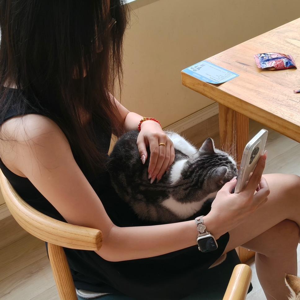 合禾（在职考公版）