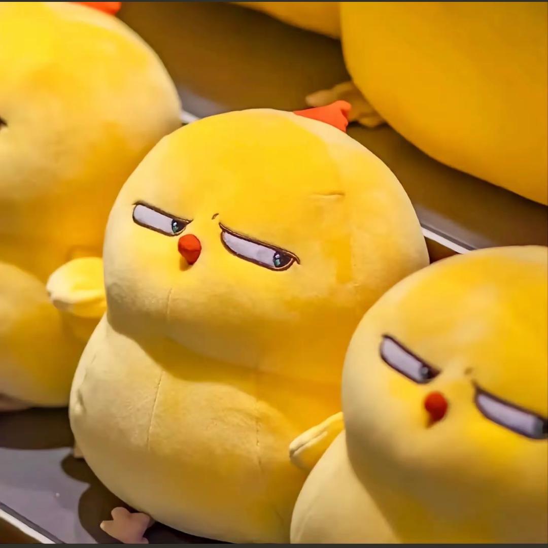 侬爹