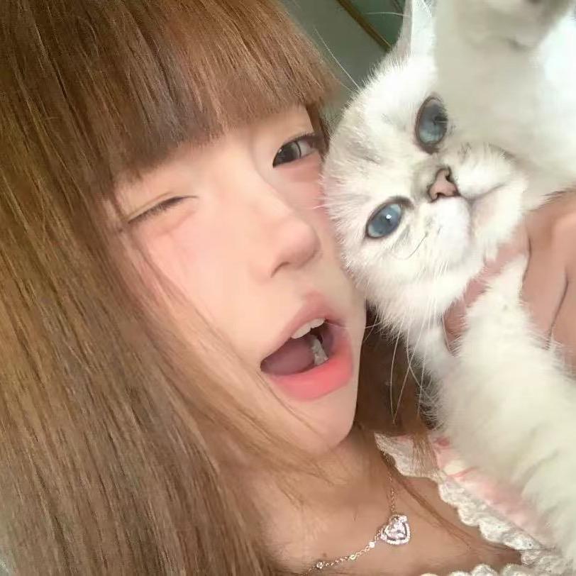🐱