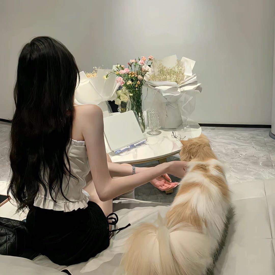 🌺🌺🌺