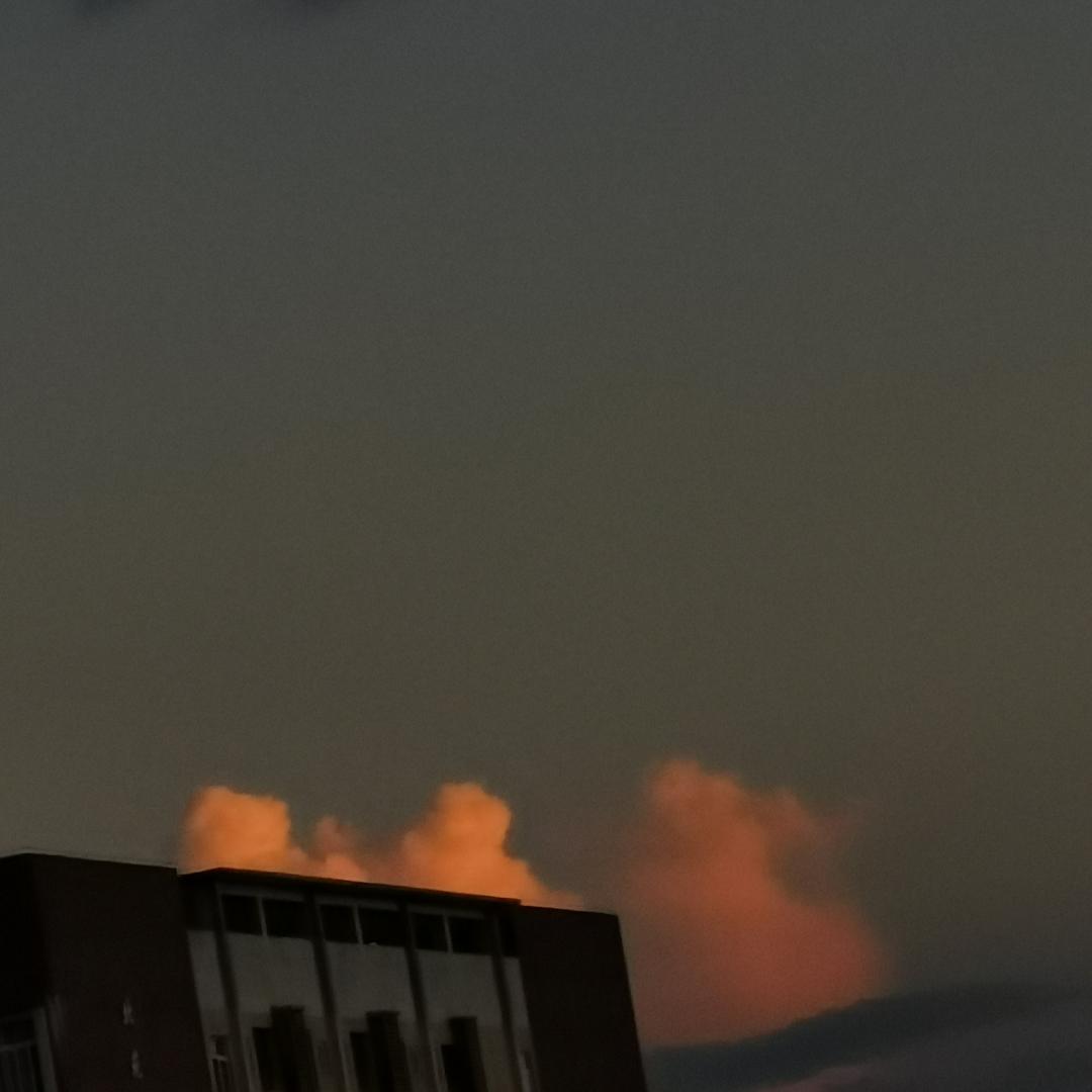 懒小小