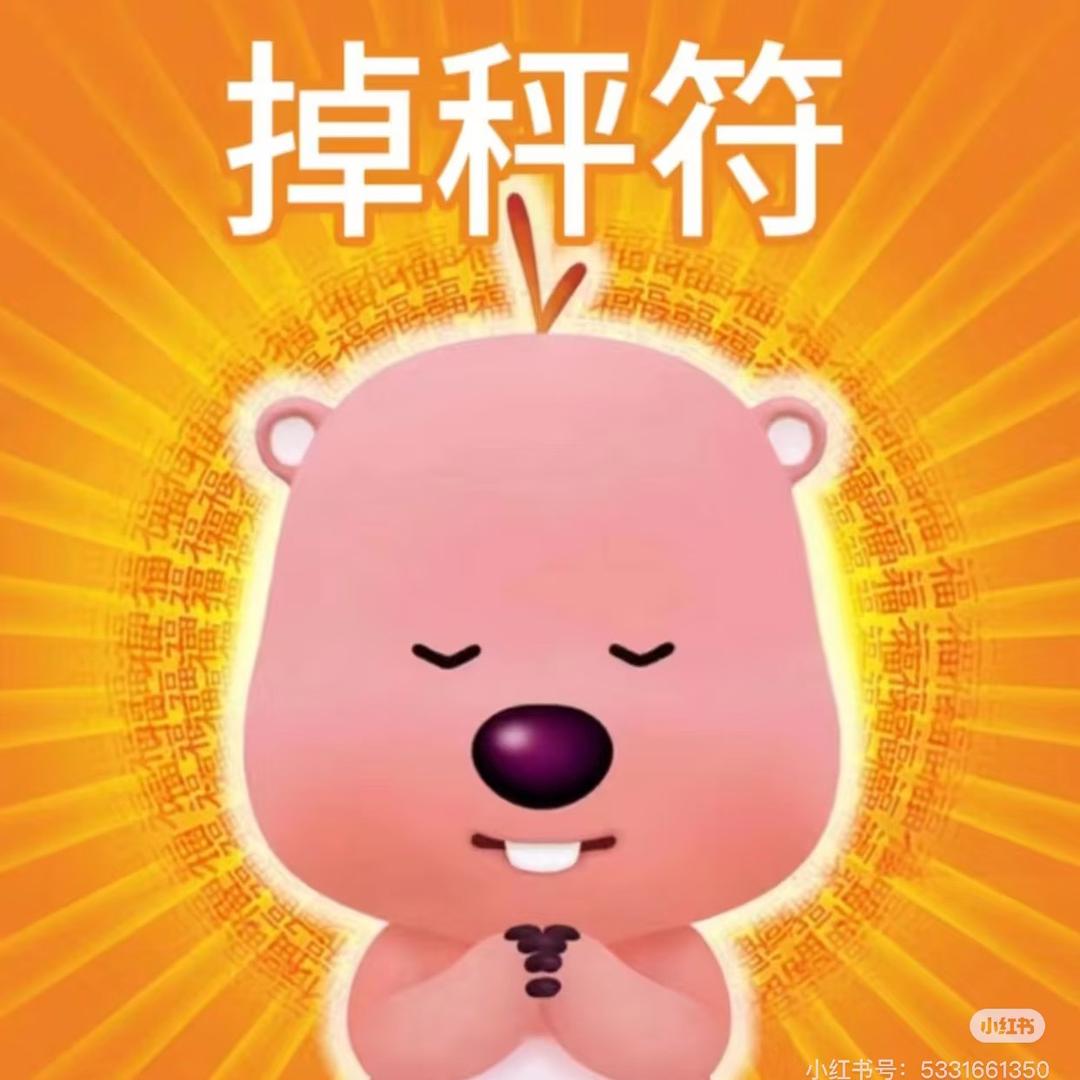 小白悟道日记
