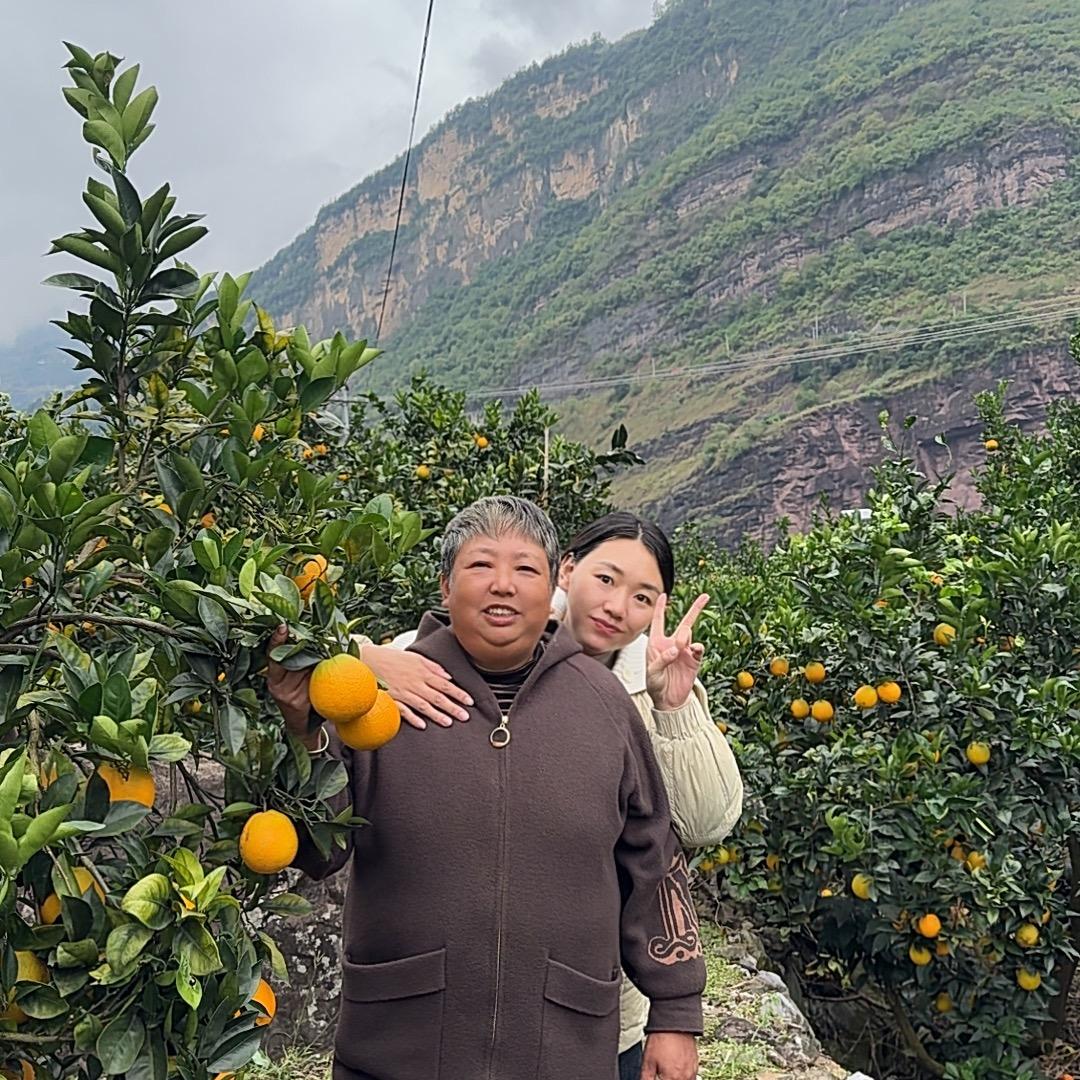 凉山红宝（努力版）