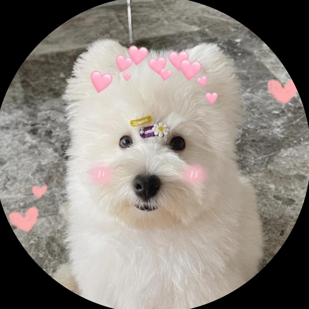 格莱美💫小妹妹