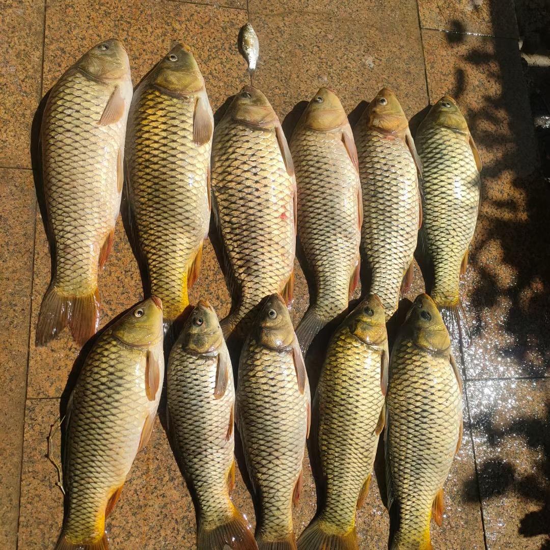 渔汇尚品～王小王爱钓鱼