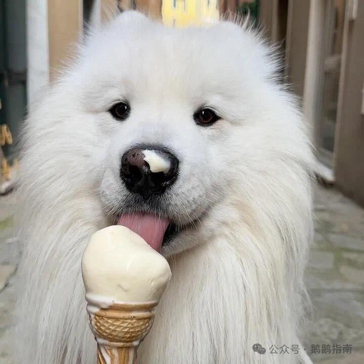 华裕精选