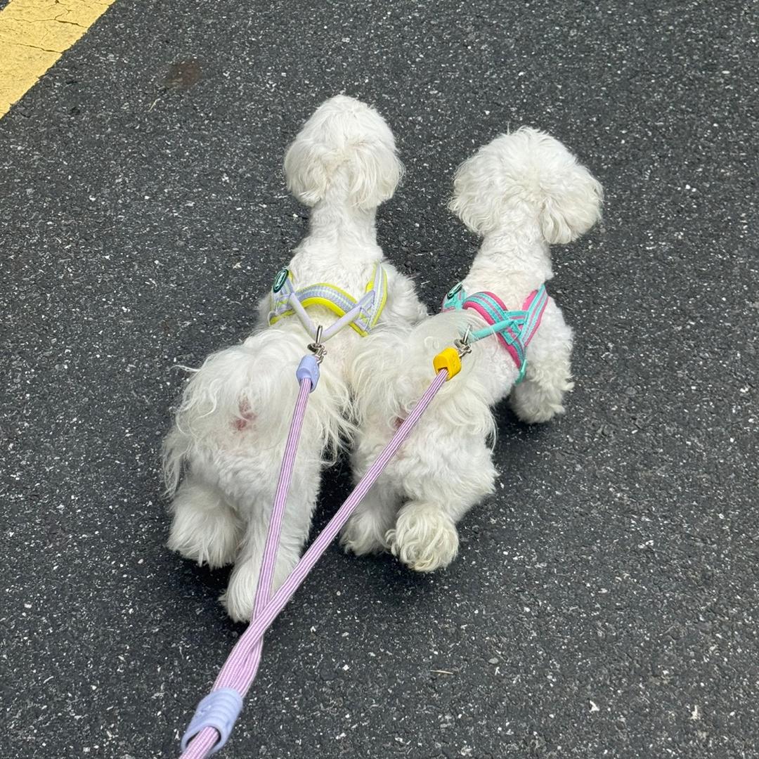 罗森和Oneone