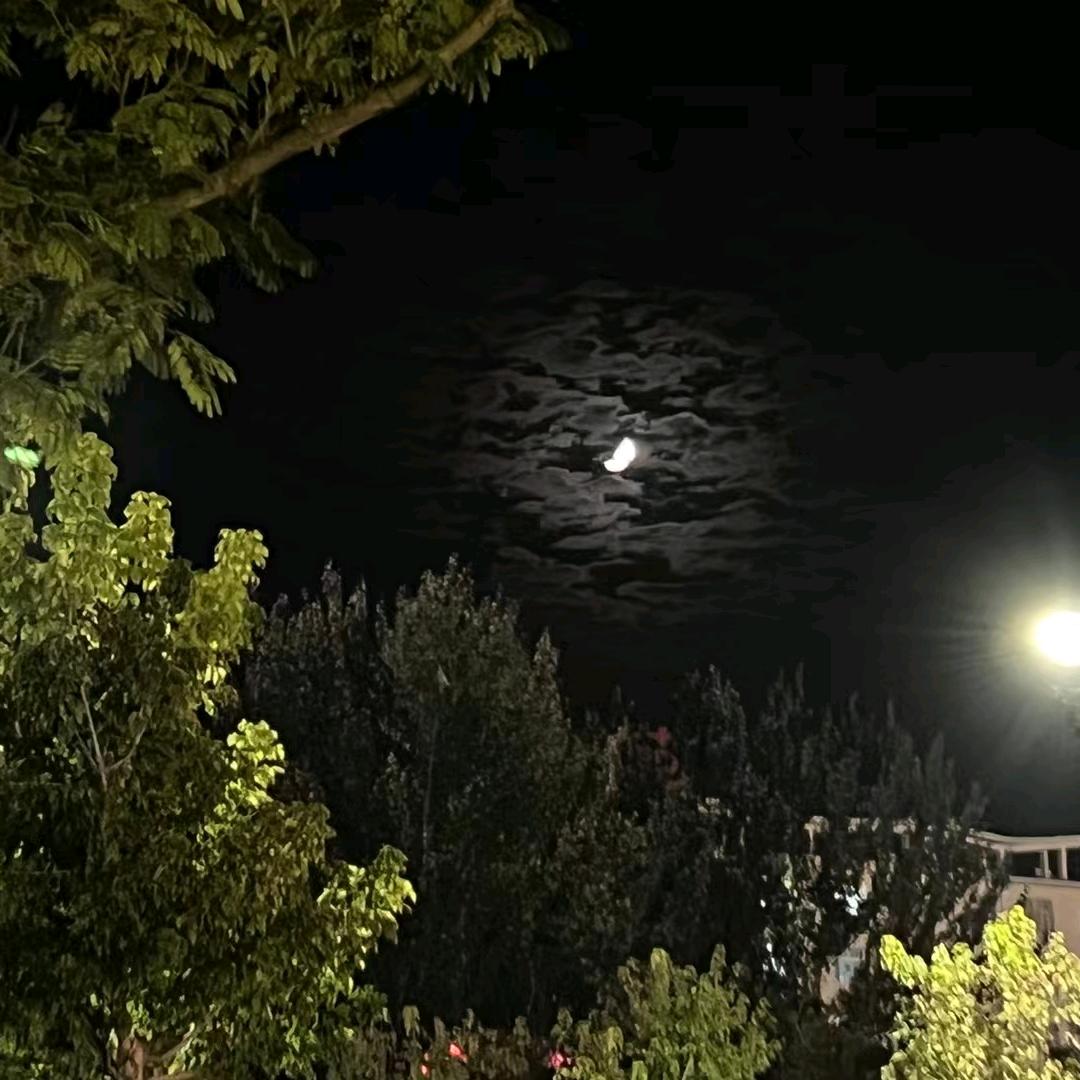 你是光和救赎。