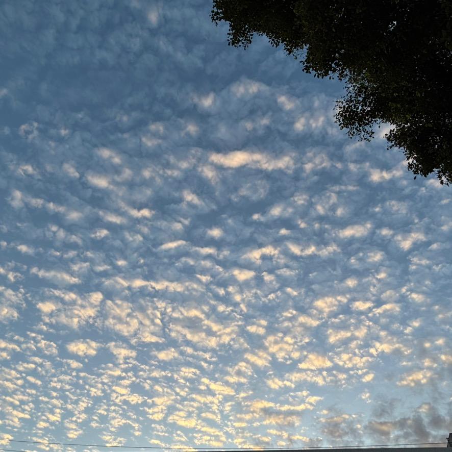 元族bhnoiweaoihvzhi直播号