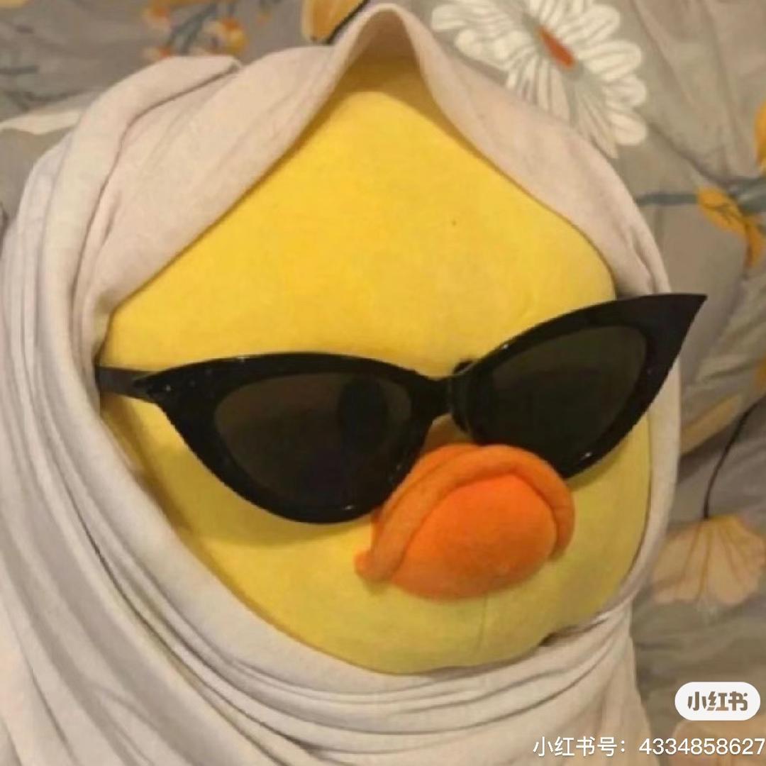 早八走狗
