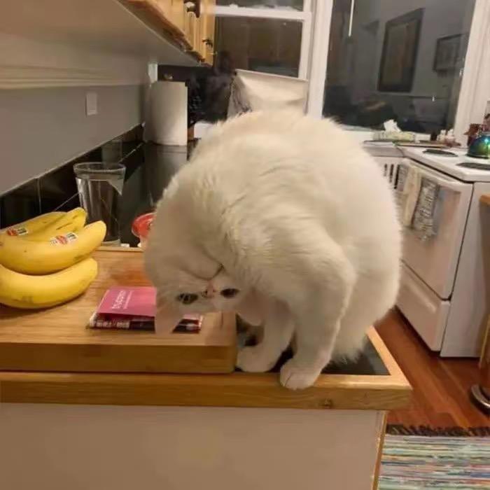 喂蔚蔚！