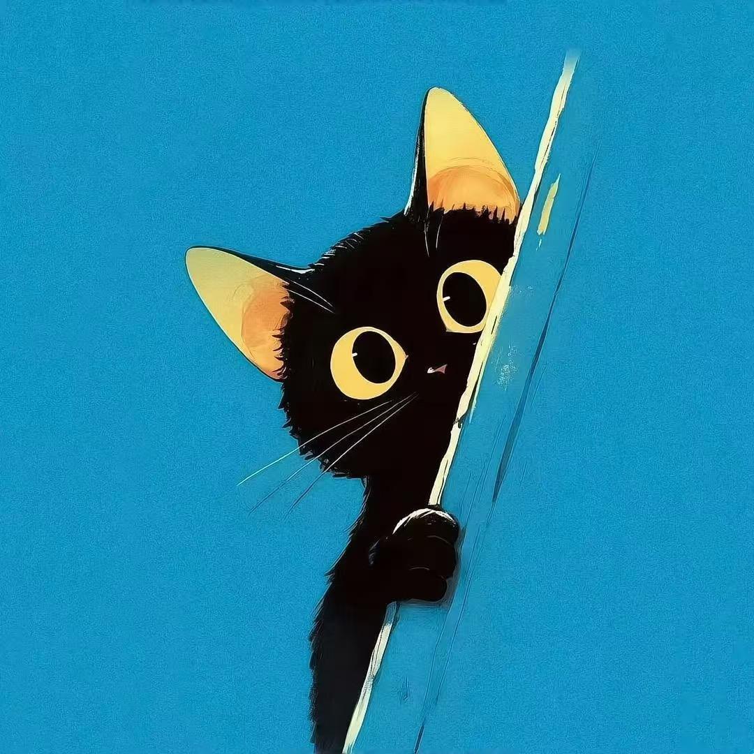 黑猫（燕云十六声）