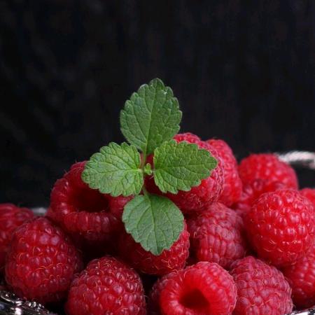 ღ戒烟，如戒你᭄