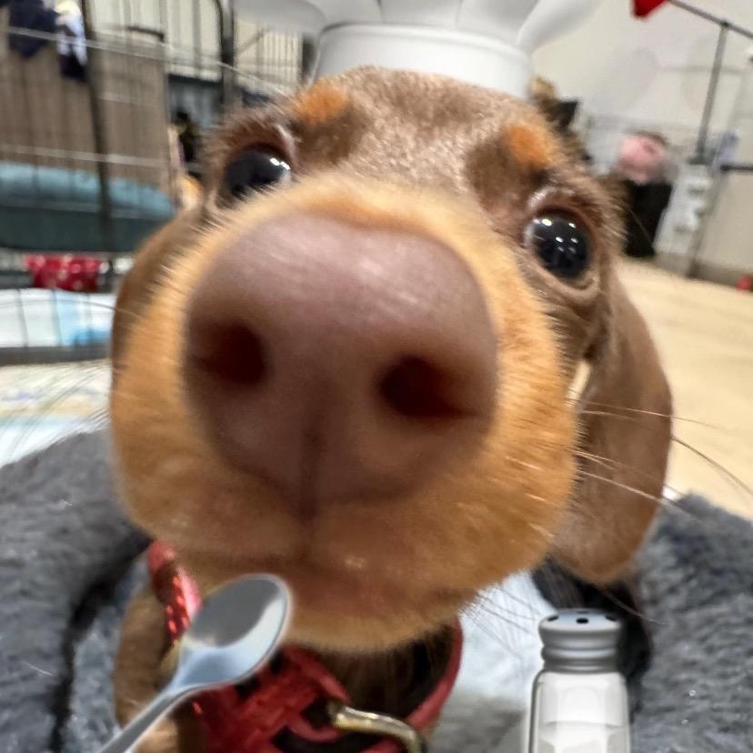 183高冷内向小帅哥