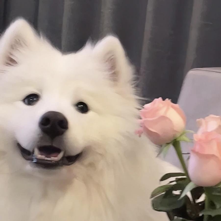 就是卖衣服的（黑化版）