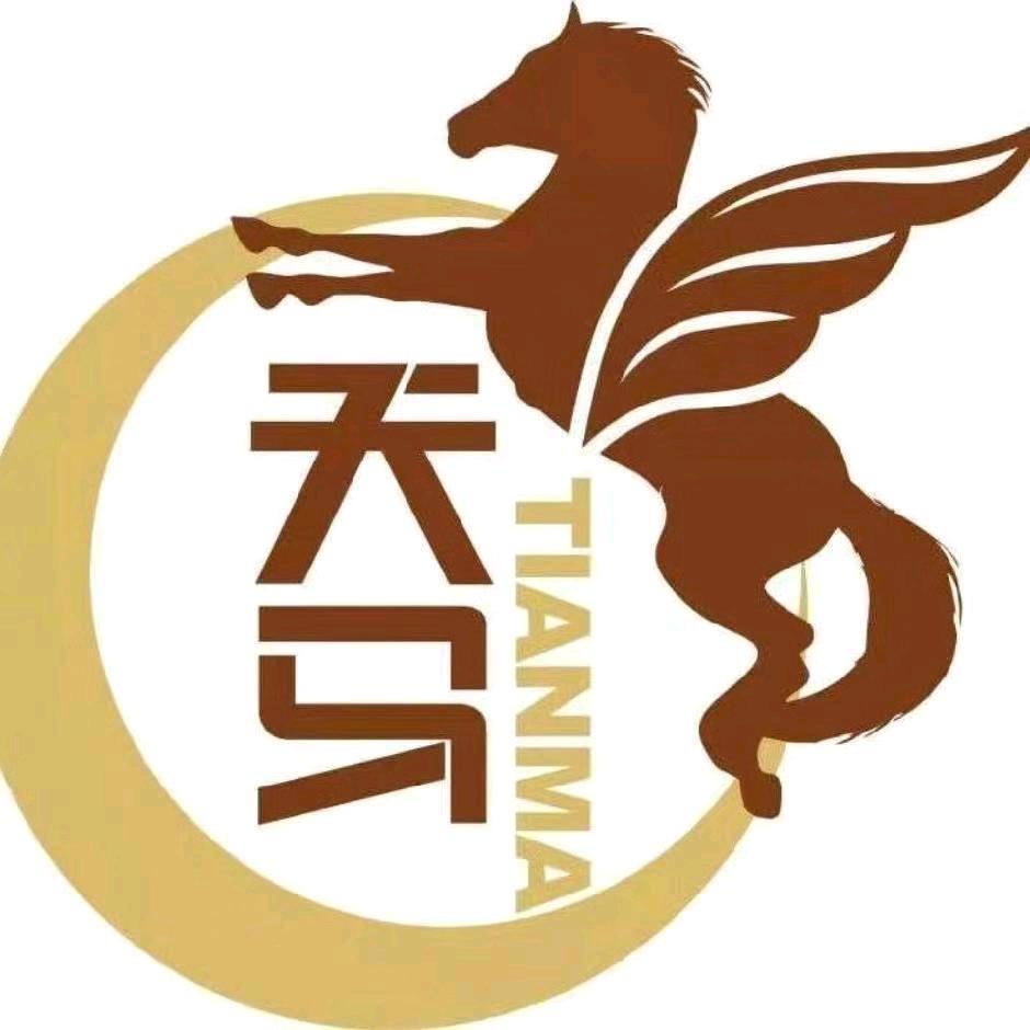 安化县梅城镇天马儿童游乐场