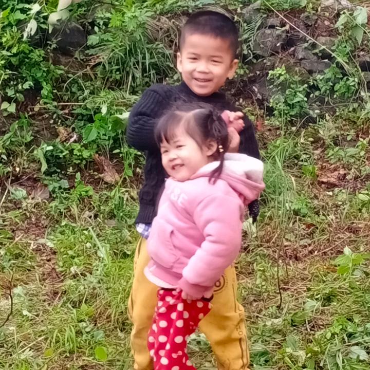 尚宝贝