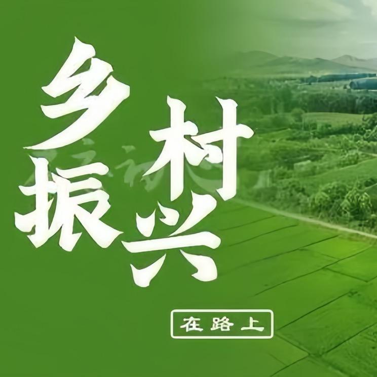 乡农村建设