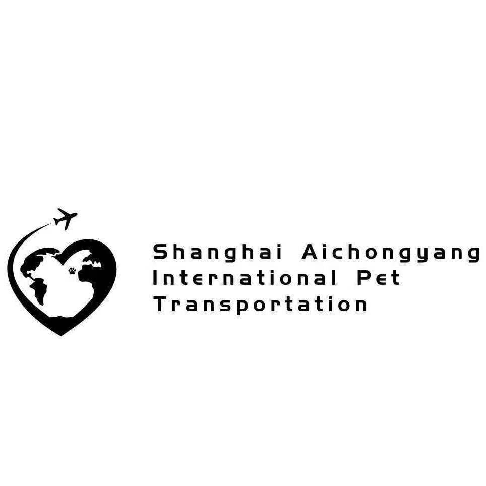 爱宠阳国际宠物运输-017