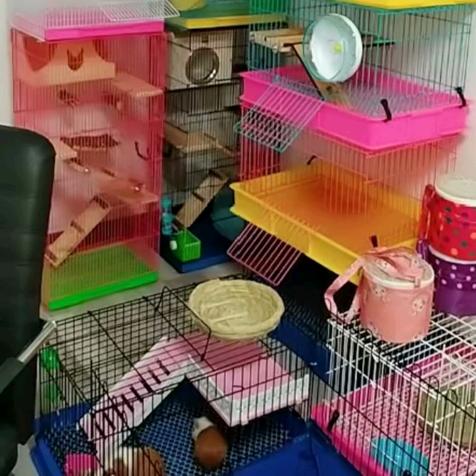 遵化市佛来峪萌宠港湾笼艺销售部