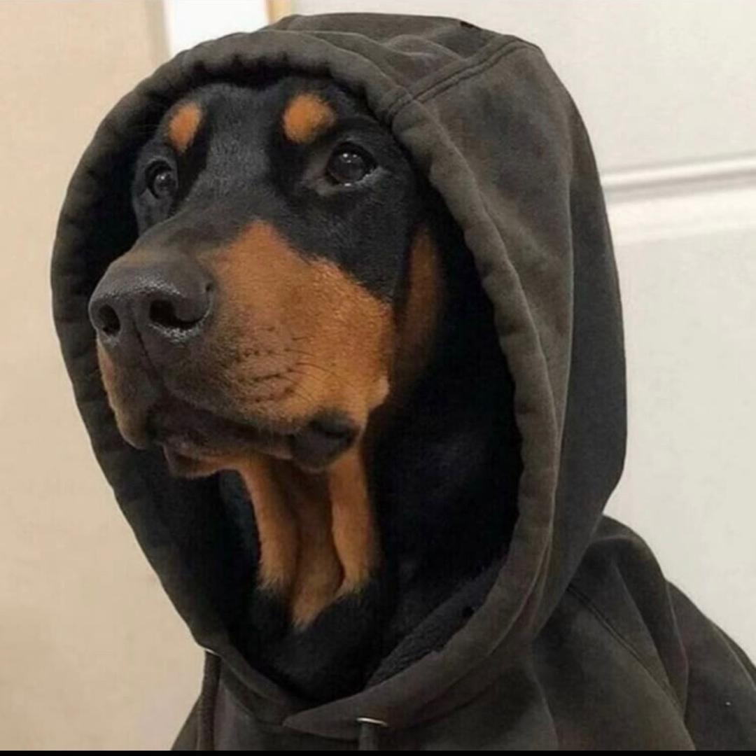 179台球俱乐部旭海店—小东