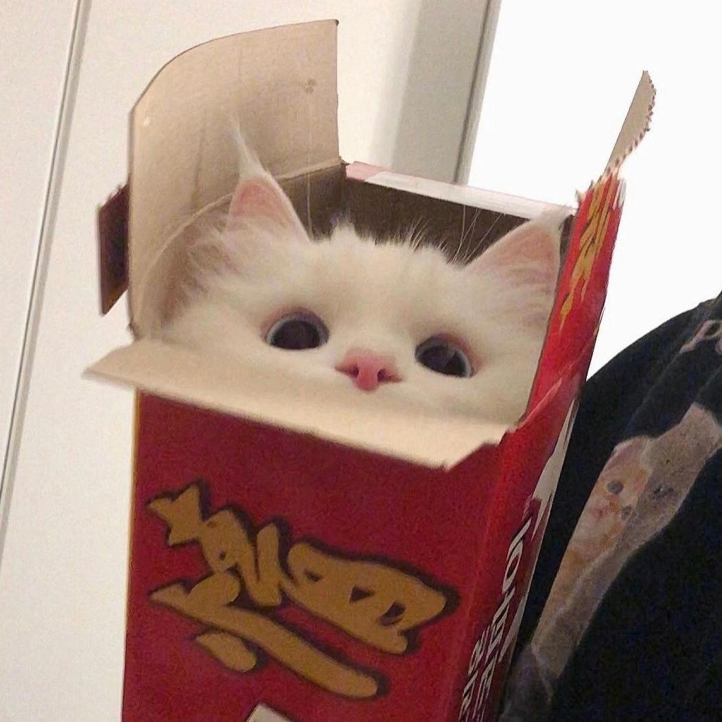 沉默小熊饼