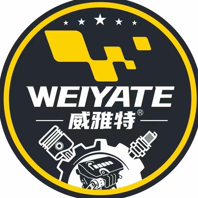 威雅特汽车精护